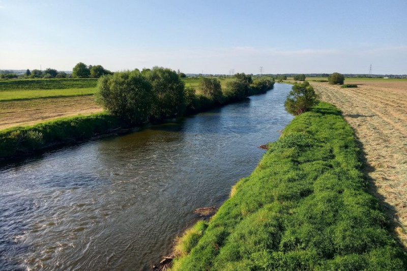 Rusza projekt LIFE Górna Odra. Celem poprawa jakości wód i ochrona bioróżnorodności